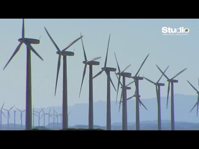 The Center for Environmental Studies
