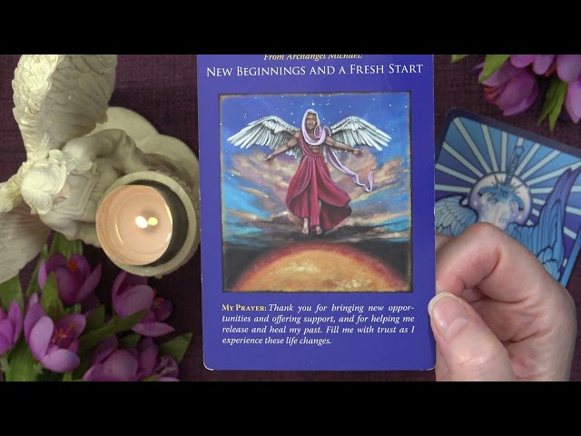 Your Daily Angel Message - A Little Angel Message — What the Angels Want You to Know Today ✨