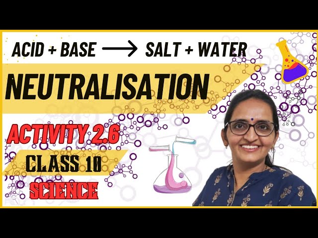 ACTIVITY 2.6 ll CLASS 10 ll SCIENCE ll CHAPTER 2 ll CBSE/NCERT ll ANKITA MAM
