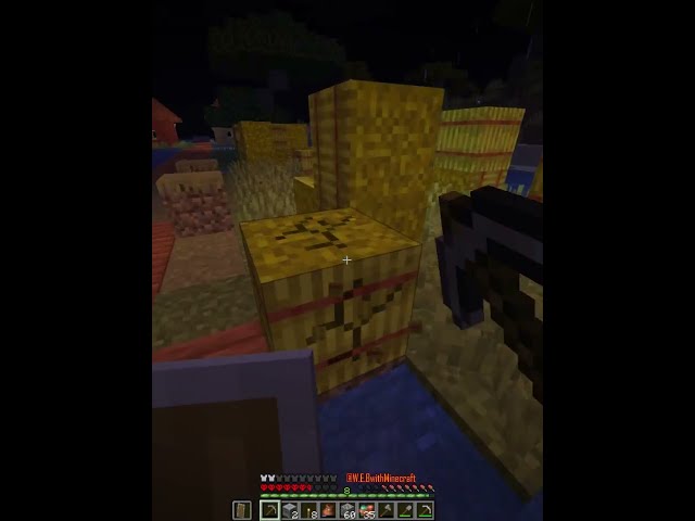 Village in Minecraft  #minecraft #survivalmode #viral