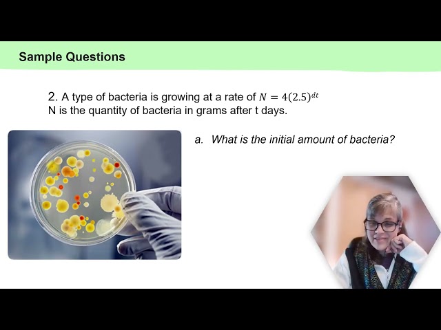 C6 P6 Logarithms Practical Problems
