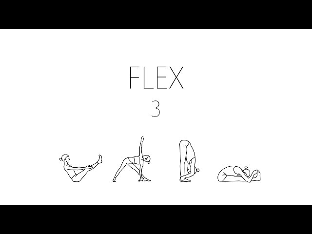 CSS 수업 - flex 3 : basis &  grow & shrink