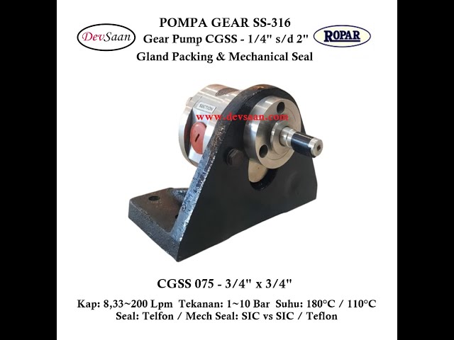 Gear Pump Rotary SS-316 CGSS 075 (GP) Pompa Roda Gigi  @DevsaanIndustech #gearpump