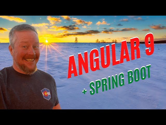 Build a CRUD App with Angular 9 and Spring Boot 2.2