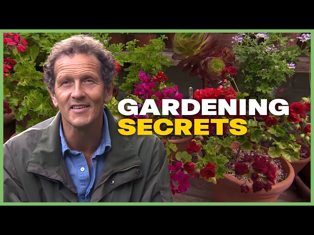 Monty Don's EASY Container Gardening Tips | Season 4 | Gardeners' World