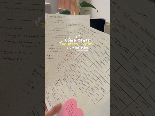 How to Keep Your Notes Neat and Organized ✍🏼