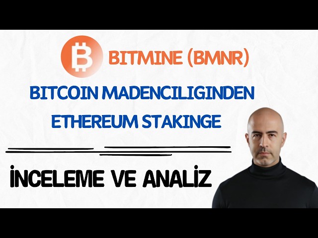 BitMine Immersion Technologies (BMNR) - Is This Massive Ethereum Staking Company Undervalued?