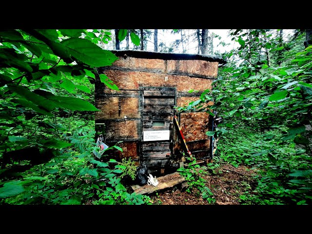 Off-Grid Cabin Visit 