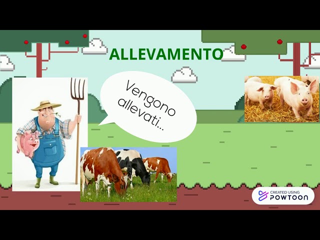 Il settore primario