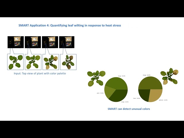 SMART: Plant phenotyping using Computer Vision and Machine Learning