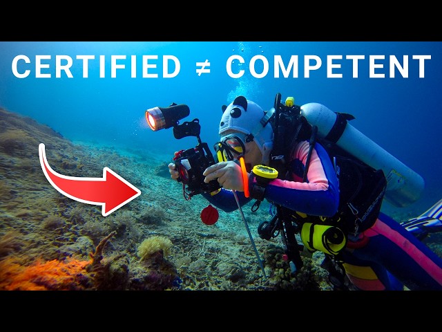 Scuba Training Broken? Here's What Nobody's Telling You