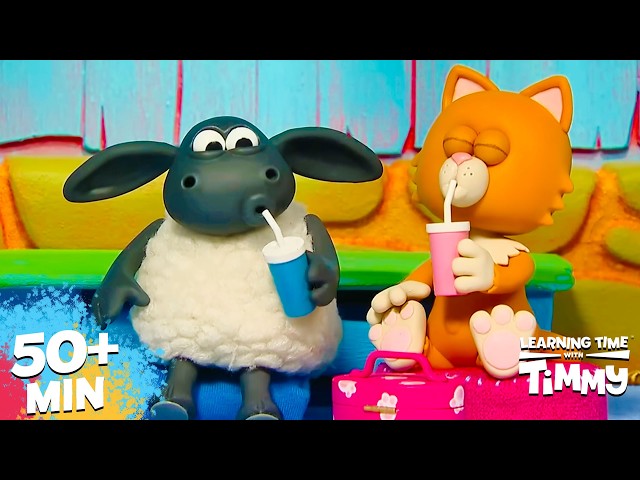 🤝SHARING IS CARING! | PRESCHOOL CARTOON | Timmy Time