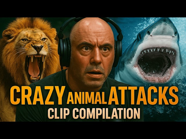 Most Insane Joe Rogan Animal Attack Stories (60 Clip Compilation)