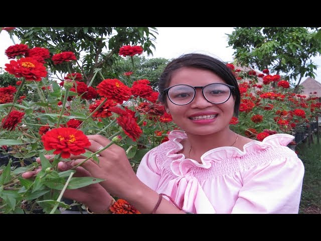 Flower Farm Make Love, Don't Missed Flower Farm In Siem Reap#75