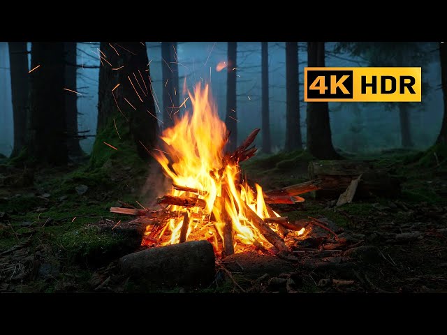 4K HDR Campfire in foggy forest by the river 🔥100% Authentic Sounds