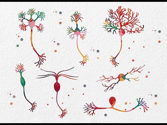 「印卡說：細胞、電路、熱雜音與人腦演算的未來」系列講座第三場：熱的資訊簡史─從內燃機到熱噪音