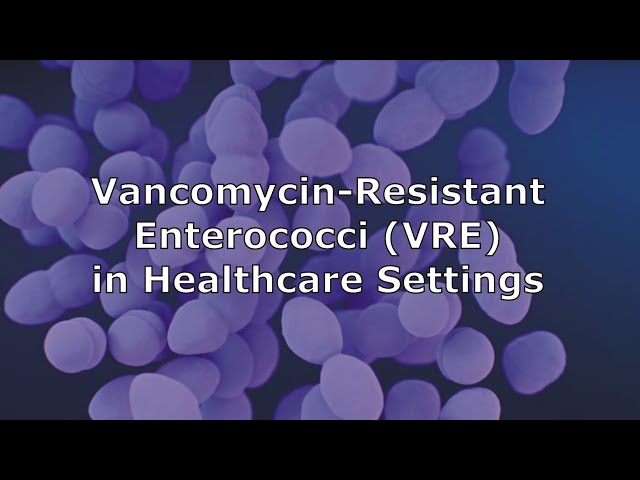 Vancomycin-Resistant Enterococci (VRE) in Healthcare Settings