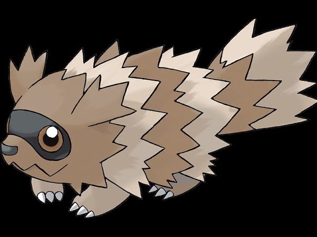 Zigzagoon