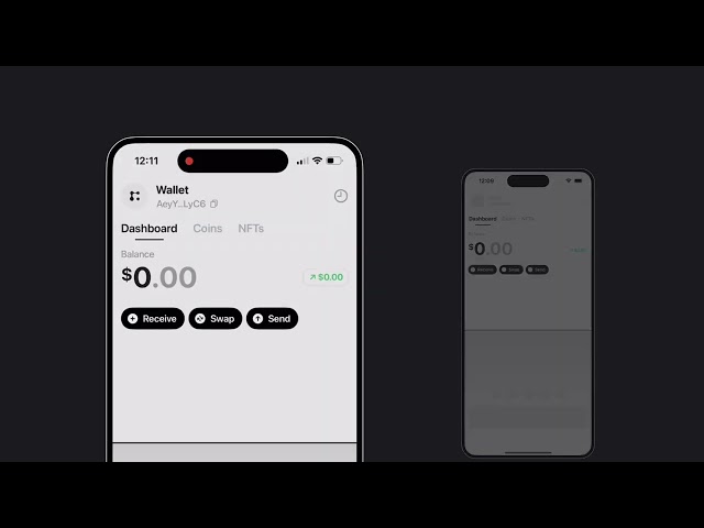 Fuse Balance Change Toggle Animation ✦ React Native ✦ makeitanimated.dev
