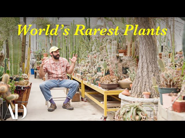 Inside a Hidden LA Greenhouse Full of the World’s Rarest Plants | Architectural Digest