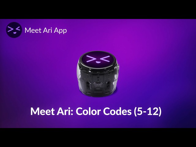 Meet Ari: Color Codes (Grades 5–12 Coding Basics)