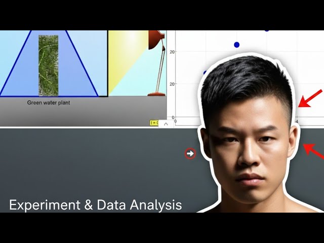 🌱Photosynthesis Lab Simulation and Study Guide