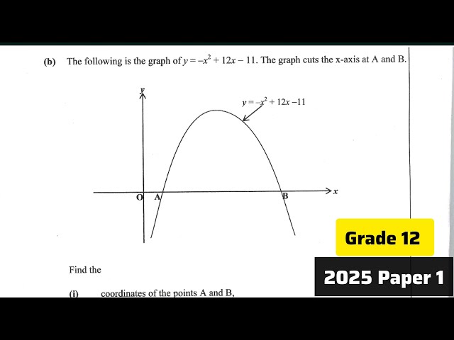 Parabola QUESTIONS EXPOSED 😱 | Coordinates & Maximum Value | Grade 12 Maths P1 2025 🔥📈