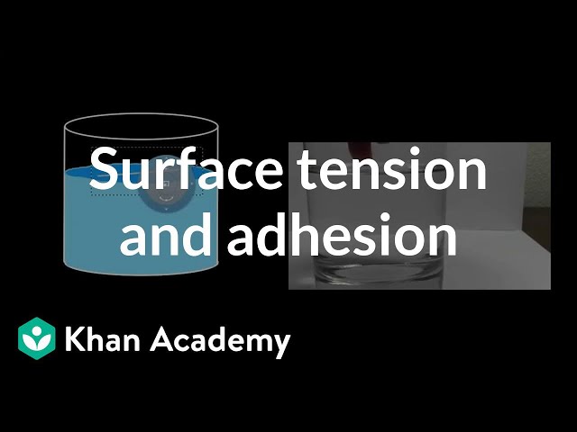 Surface Tension and Adhesion | Fluids | Physics | Khan Academy