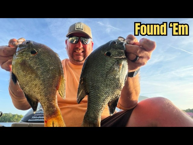 Red Ear Fishing: The Shellcrackers Were on the Beds