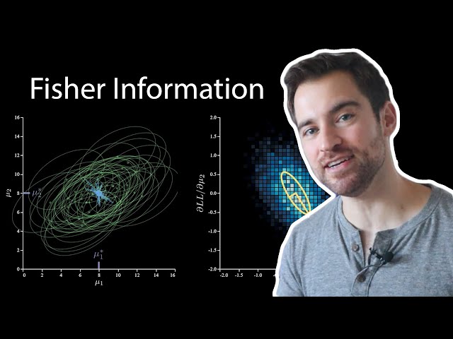 The Fisher Information