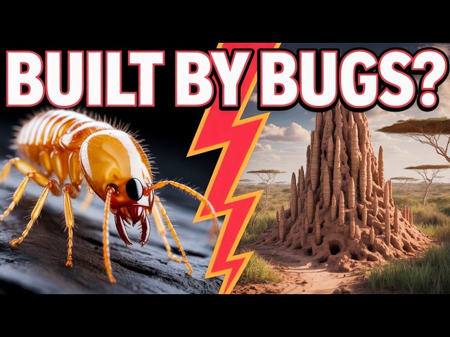 These Tiny Insects Build SKYSCRAPERS With Air Conditioning 🤯