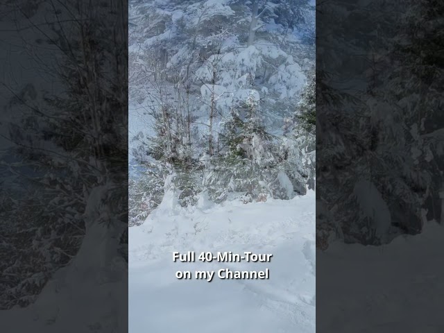 Preview: Swiss Winter Hike