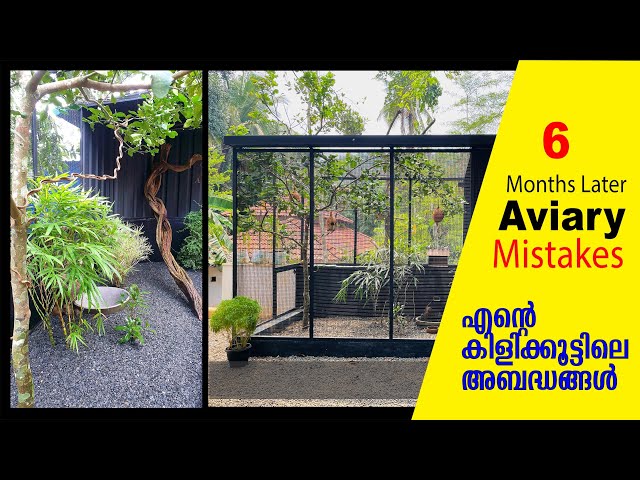 Home Aviary Mistakes I Aviary Mistakes I Cleaning Aviary I Diamond Doves I Finches I