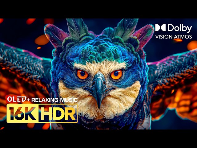 Unstoppable Dolby Vision HDR | 16K Video ULTRA HD 240fps | Stress Relief Music (8K/4K TV)