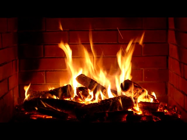 3 HORAS DE FUEGO RELAX🔥 [1 FOGATA PURIFICA TU MENTE] Descripción👇