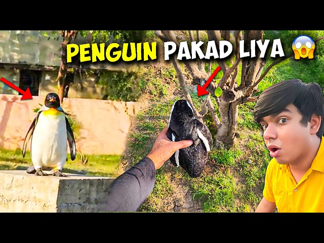 FINALLY Penguin Ko Pakad Liya 😱 - कीमत ₹20 लाख?! अब क्या करूं? 😳 Need Help 🚨 | Day 2