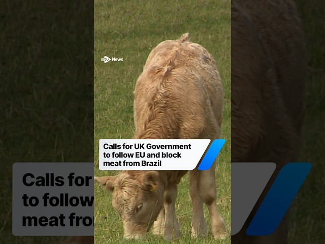 Calls for UK Government to follow EU and block meat from Brazil