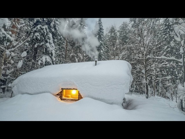 We have built a Log Cabin where we can Survive the harsh Siberian frosts
