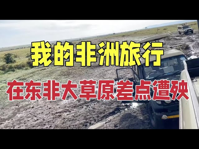 我的东非大草原冒险之旅
