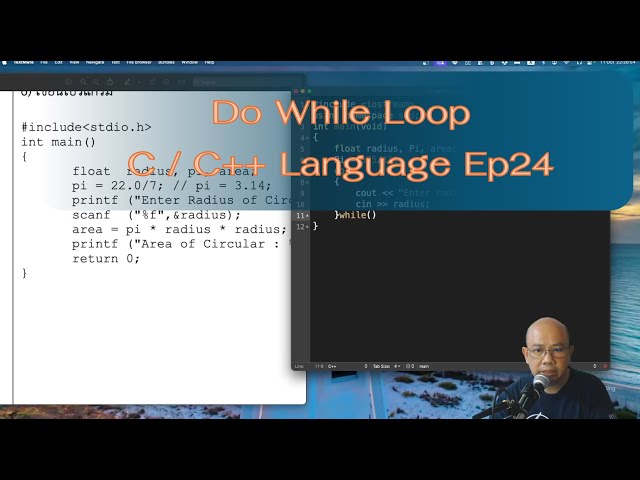 do while loop -- C / C++ Language