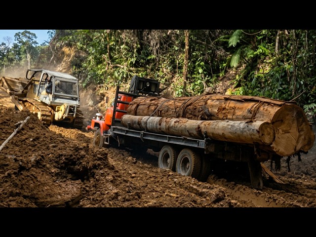 Borneo: The Mud Convoy | Deadliest Roads