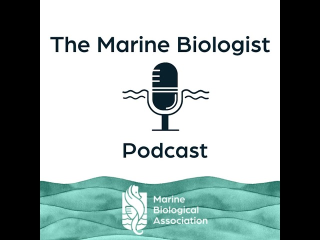 The Marine Biologist Podcast with explorer and broadcaster Paul Rose