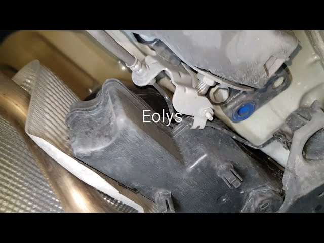 Eolys e Adblue? Sim
