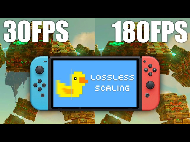 Frame Generation on The Switch 1 (is Bad)