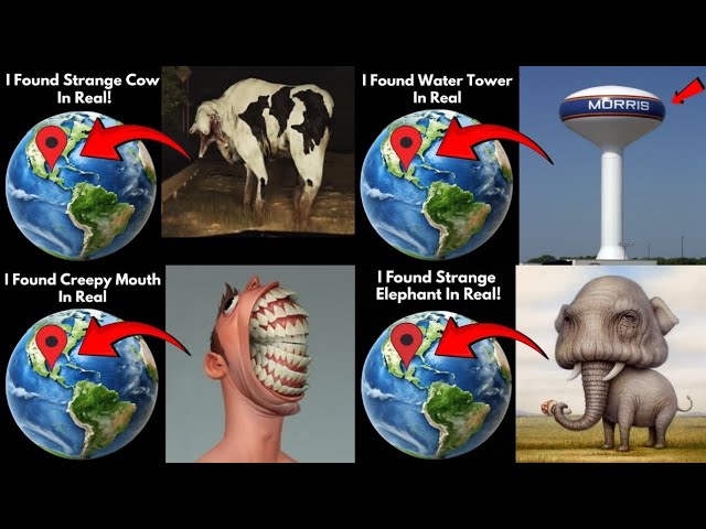 I Found TOP 4 Viral video On Google Earth Official Maps 🌎#googleearth #googlemaps #viralvideo 