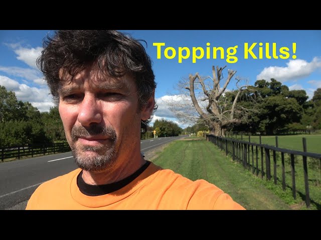 Tree Topping kills