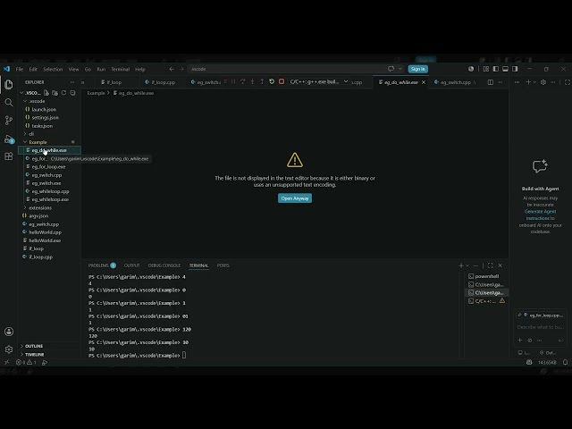 C++ For loop and Do while Loop