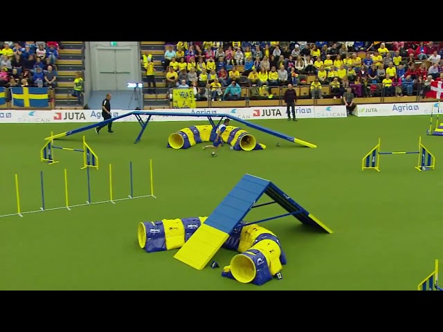 AWC 2018 Large Individual Agility