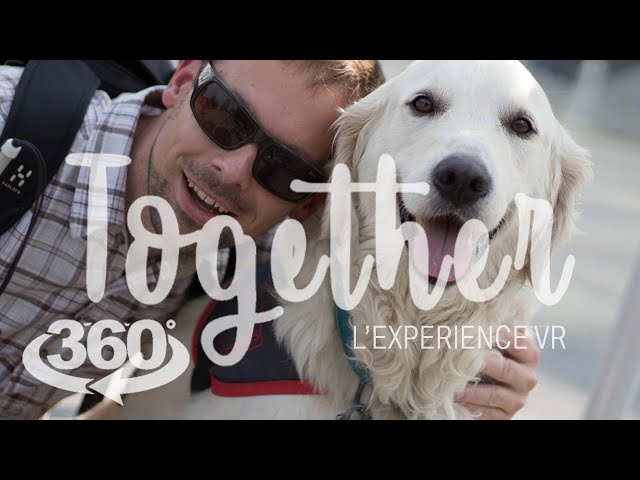 🌎 Visitez Liège dans la peau d'un chien guide (Expérience Réalité Virtuelle)🌎