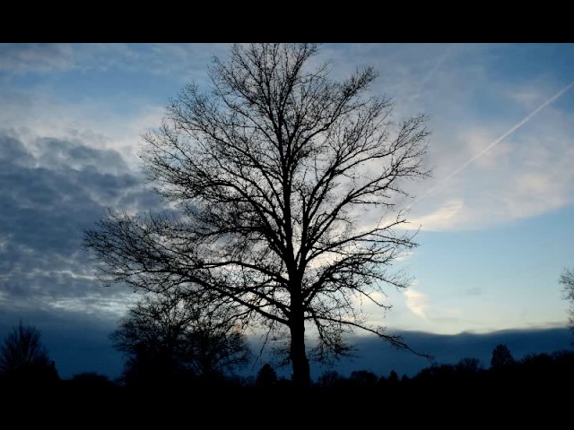 LISA OST Garbage Day - Properly Extended